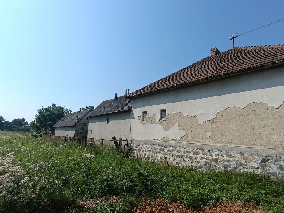 Продаж Ракошино Будинок