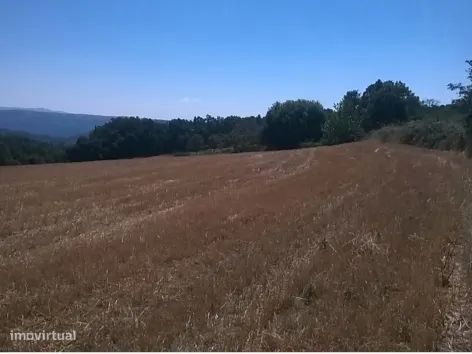 Terreno, Bragança, Vinhais