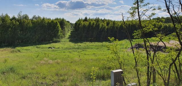 Atrakcyjna działka w Kopaninie