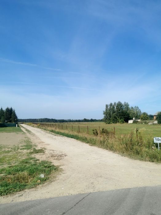Modzele Bartłomieje 1561 m2 - warunki zabudowy, drzewa, blisko zalewu