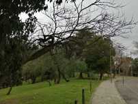 Raro T0, quintal de terra, c/ 80 m2, Beato/ Madre de Deus.
