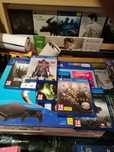 Dying Light Shadow of mordor Bloodborne The Order Alien Izolacja ps4
