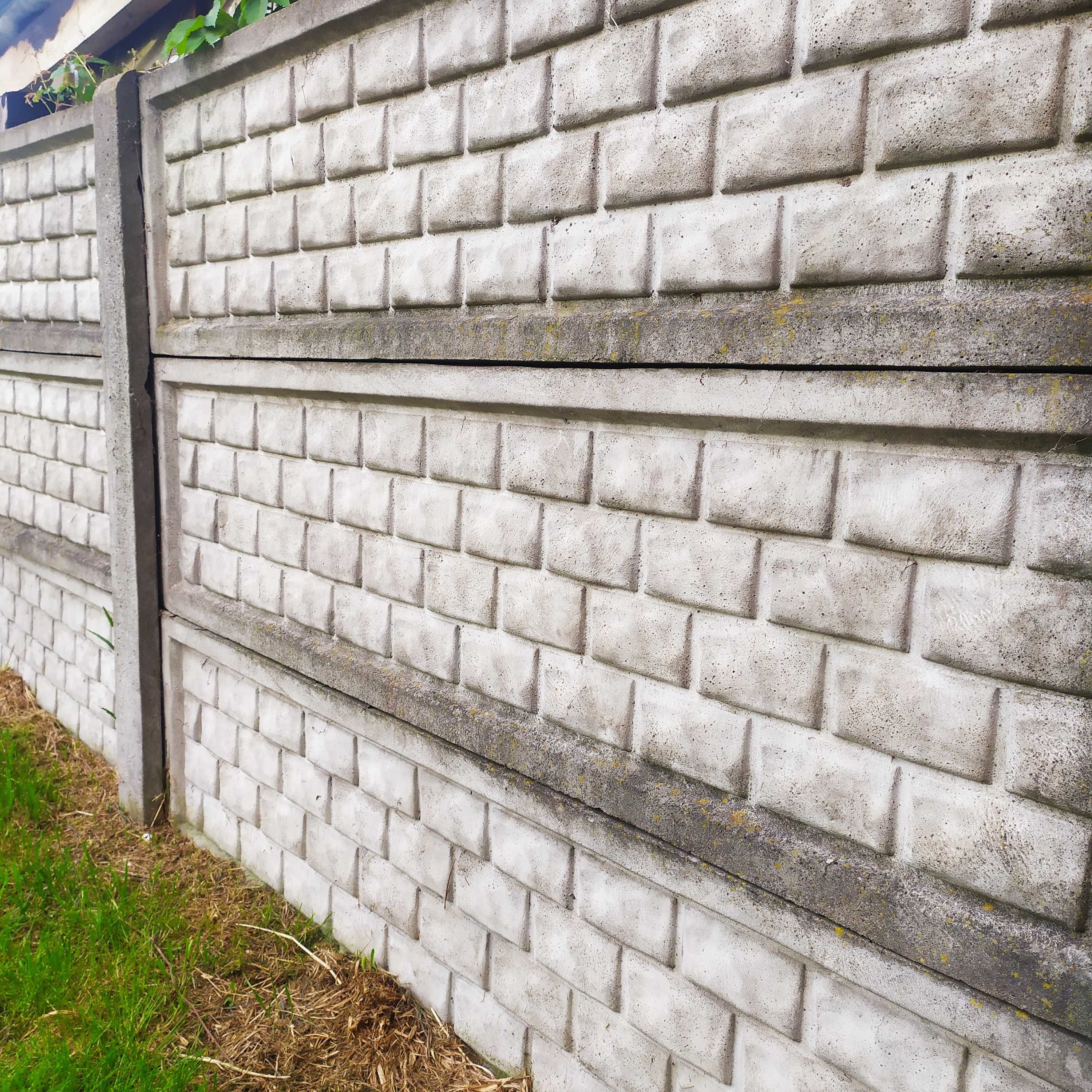 Okazja . Płyty betonowe