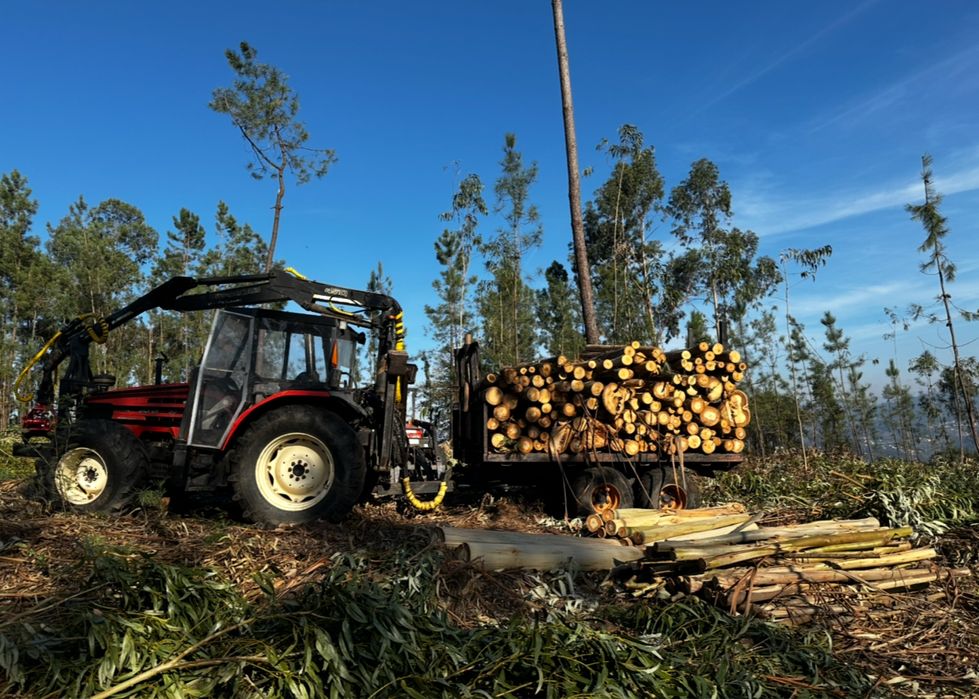 Reboque Florestal 10.000kg c/ Tração