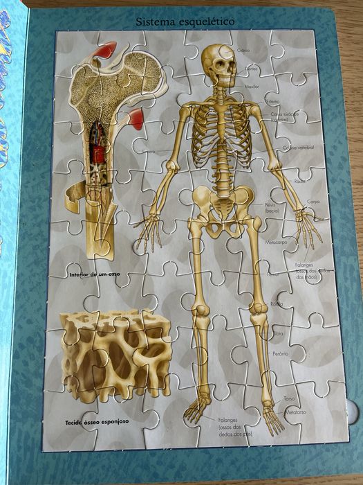 Livro Corpo Humano (Puzle) Novo