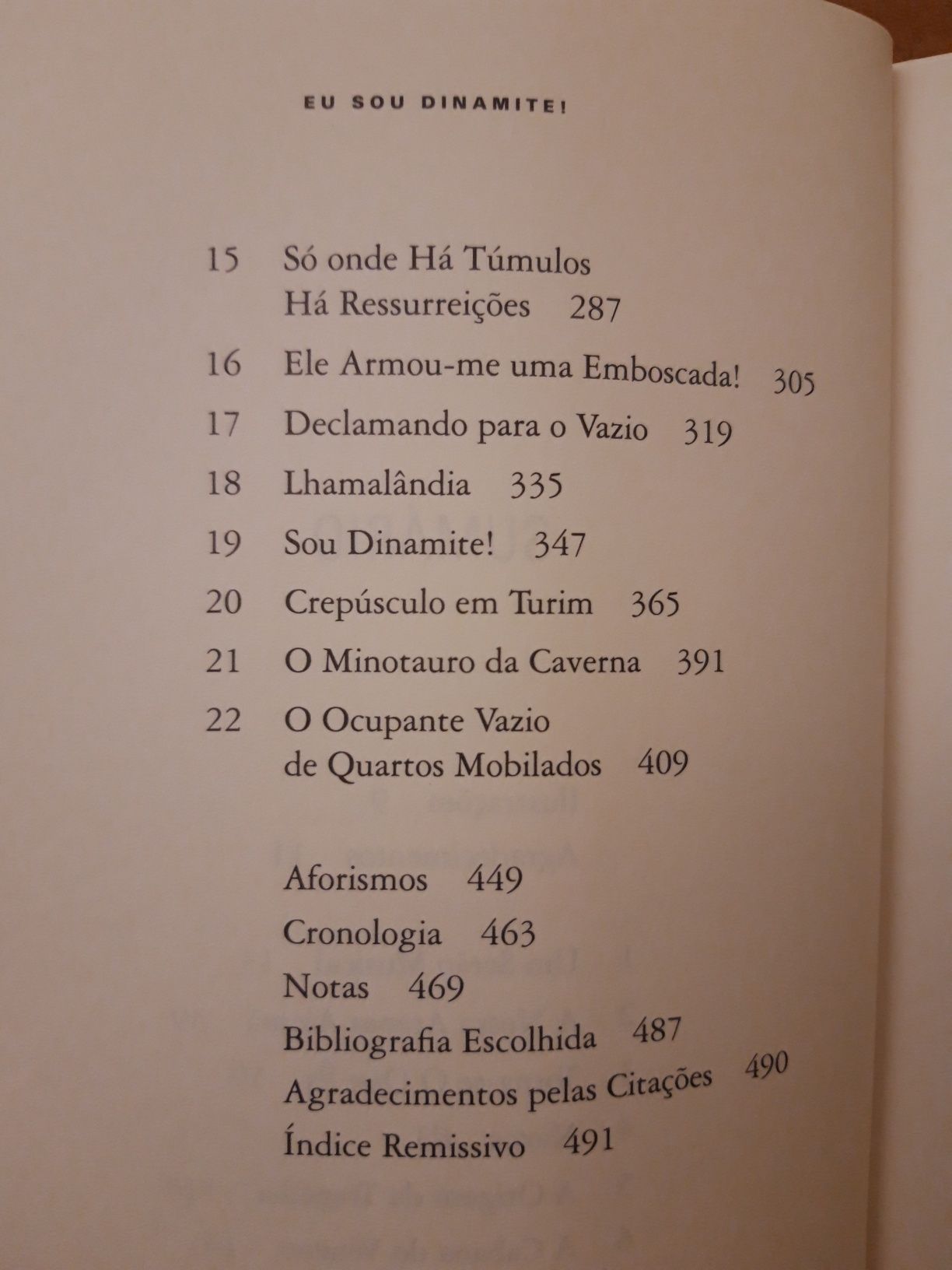 Livro "Eu sou Dinamite! A vida de Friedrich Nietzsche" de Sue Prideaux