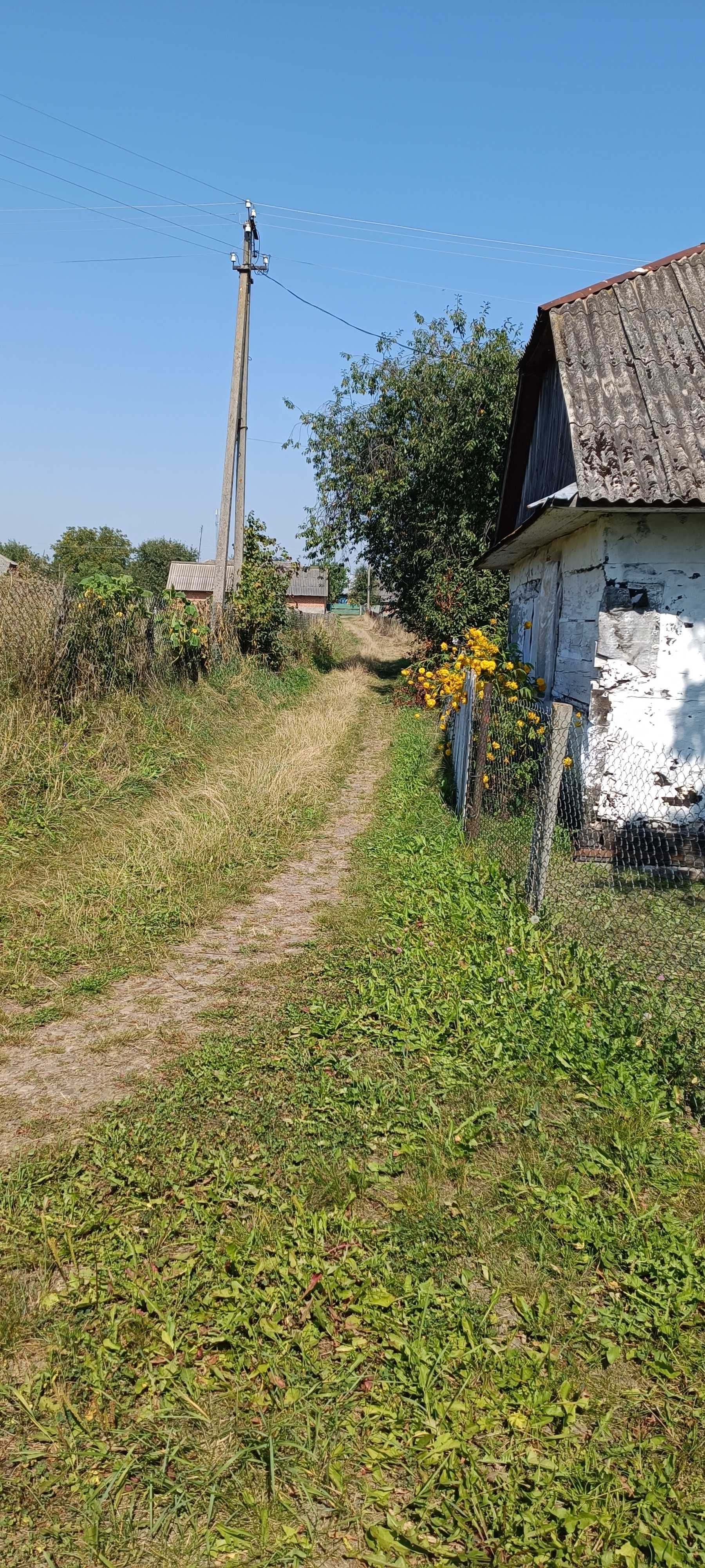 Продам 2 деревяні будинки