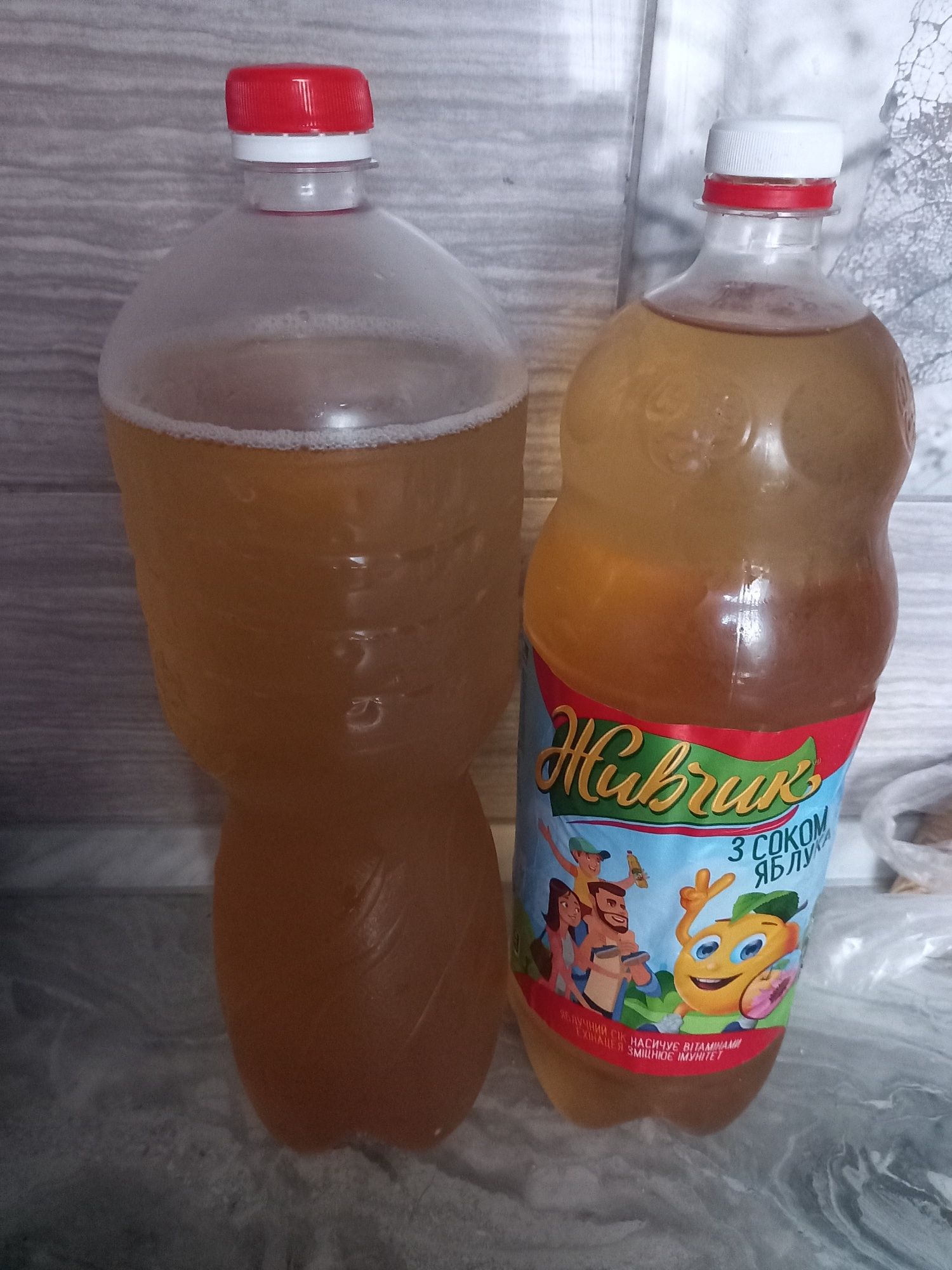 Продам молодой чайный гриб