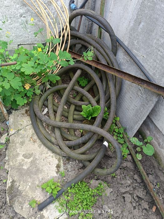 Шланг 32 полив огород