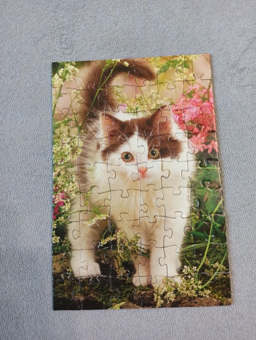 Puzzle Trefl Kot