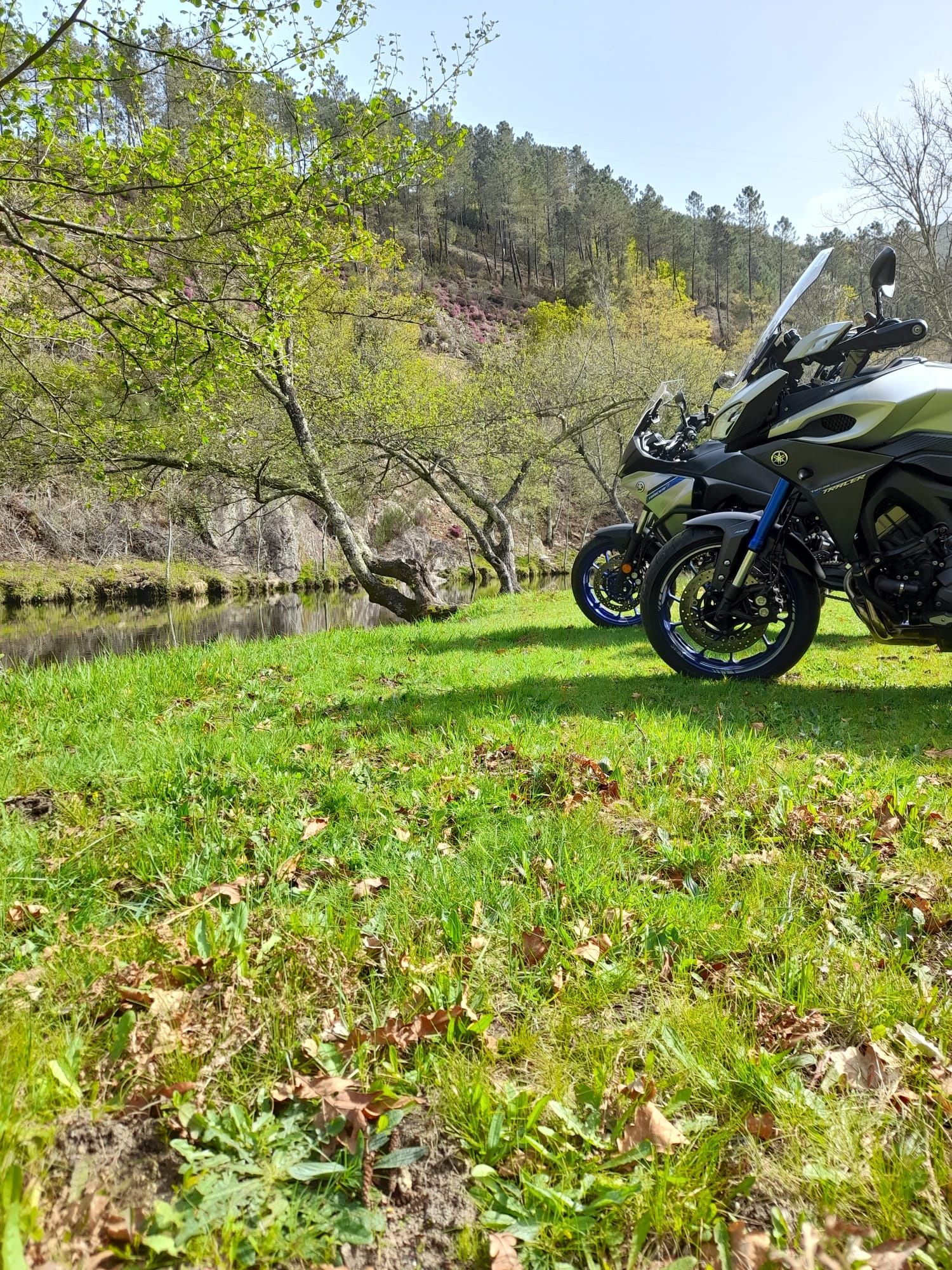 Yamaha Tracer 900 | Nacional