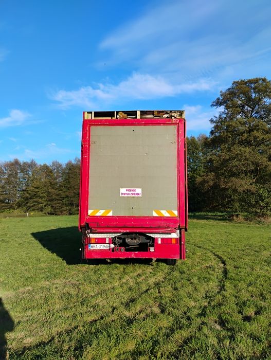 Renault Magnum do przewozu zwierząt 3 piętra( zamienię traktor koparka