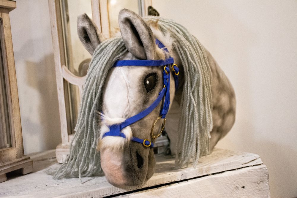 Hobby horse z ogłowiem