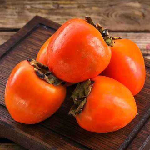 Привита хурма / Саженцы привитой хурмы. (Высота 150-200 см)