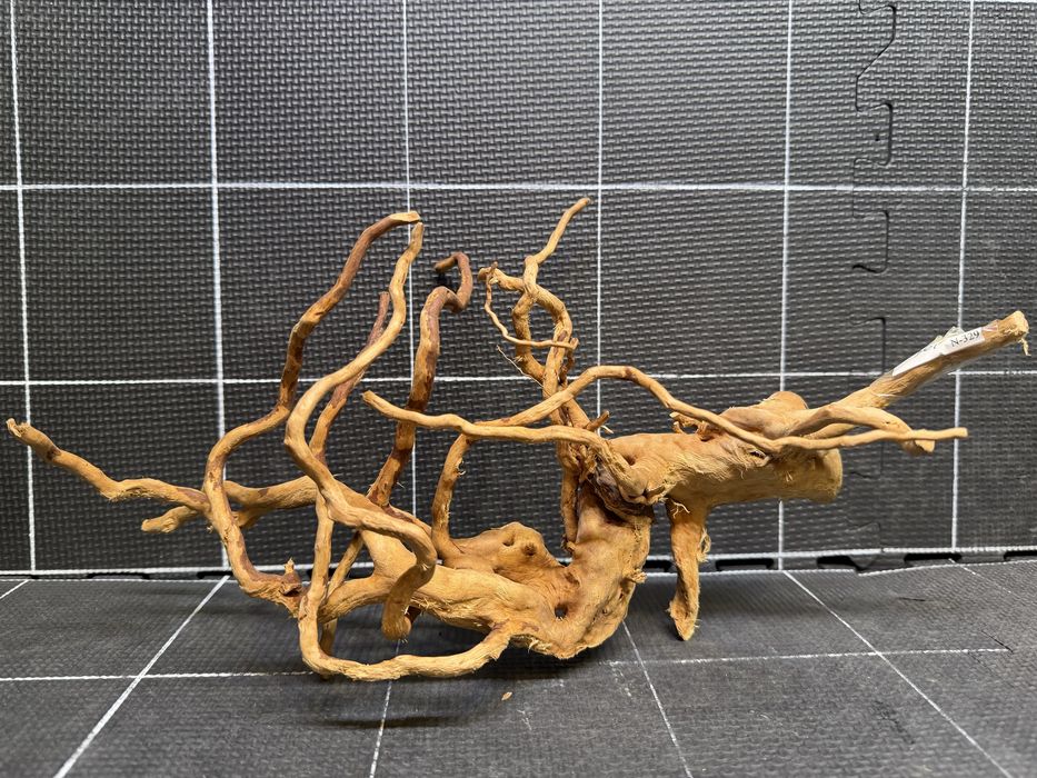 Korzeń red moor wood n-329