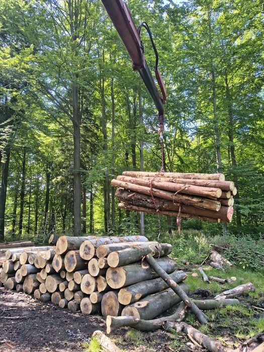 Drewno opałowe świerk