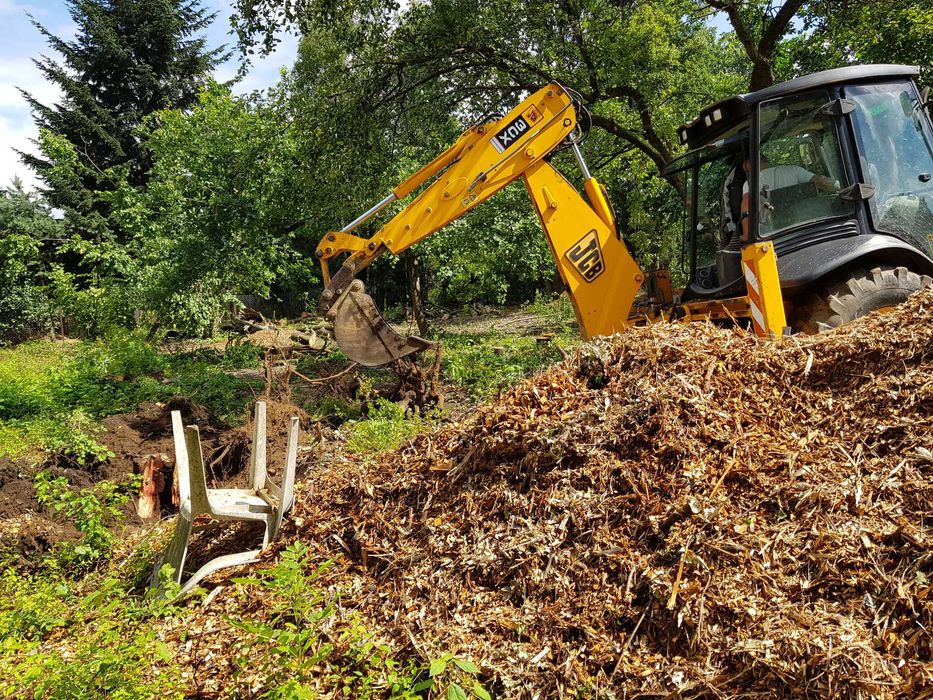 przycinanie żywopłotów tui, wycinanie gałęzi, wycinka drzew i krzewów