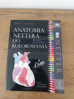 Anatomia Nettera do kolorowania