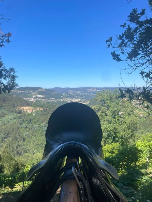 Arreio dressage Passier