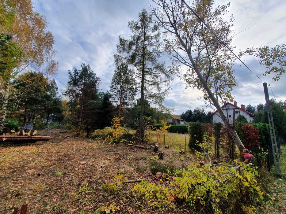 Wycinka Drzew Niwelacje Terenu Frezowanie Karp Rębak Podnośnik