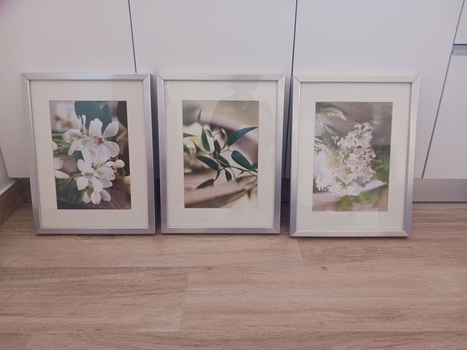 Quadros decorativos