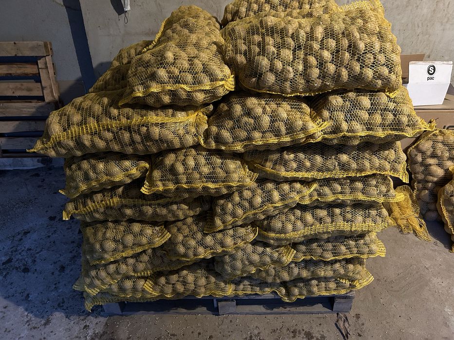 Ziemniaki soraya/soraja kaliber 30-50