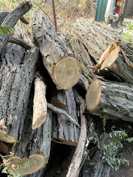Дрова,отличного качества,дуб,акация