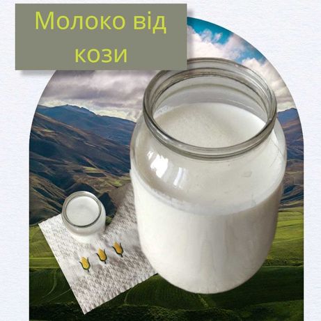 Козье молоко 0.5 л домашнее, парное в Черновцах  р-н Кемпинга.