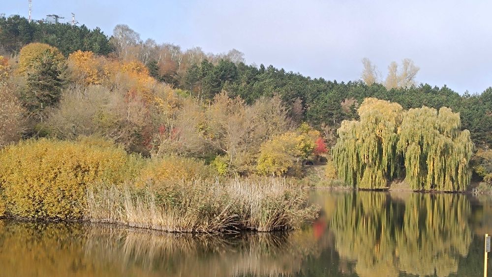 Sprzątanie nie tylko od święta- biura/ mieszkania/fomy