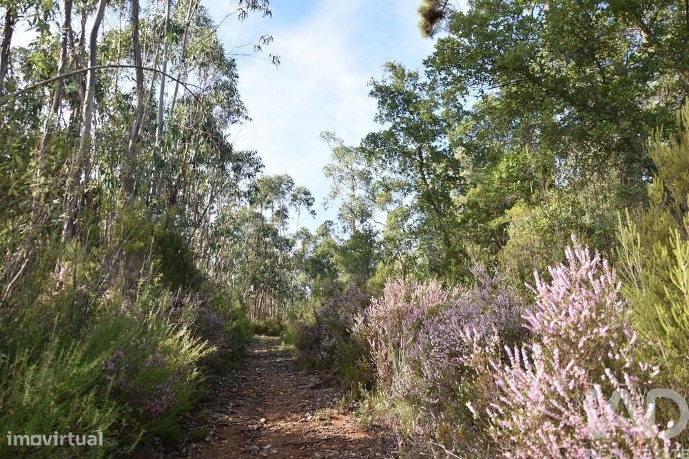 Terreno Agrícola em Sabacheira