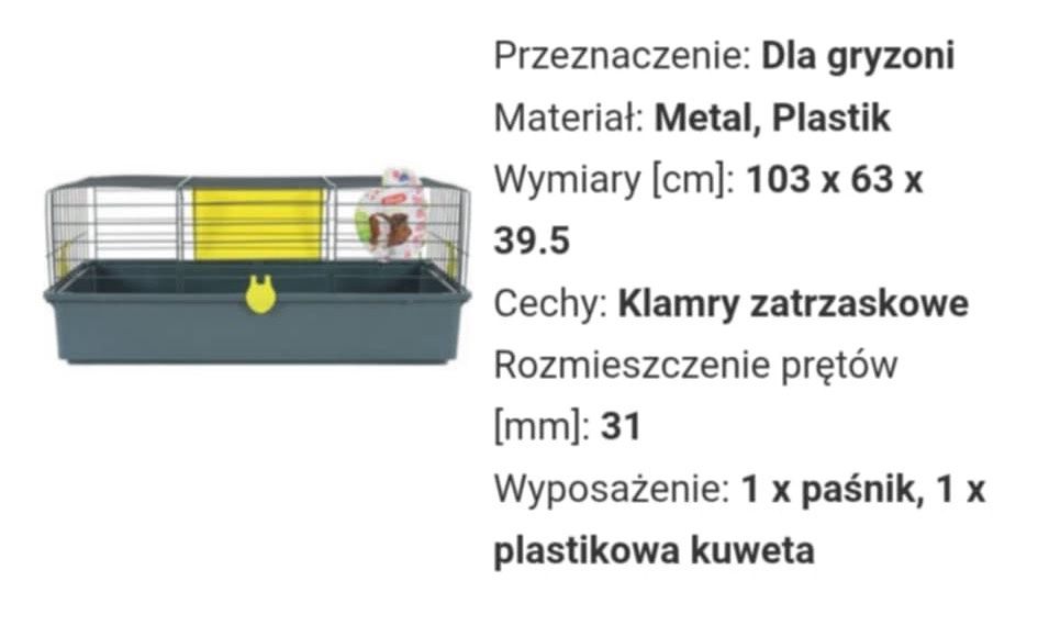 Królik miniaturka baranek