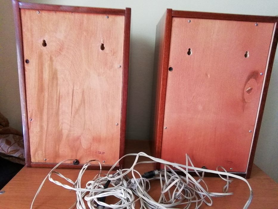 Колонки Вега 101