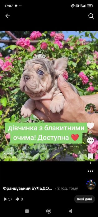 Дівчинка Біг Роп носій флаффі.