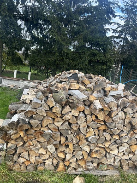 Drewno opałowe buk