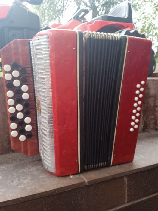 Akordeon guzikowy dla dziecka