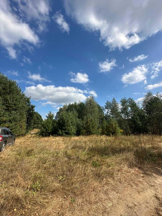Działka 5100m2 pod lasem, siedlisko