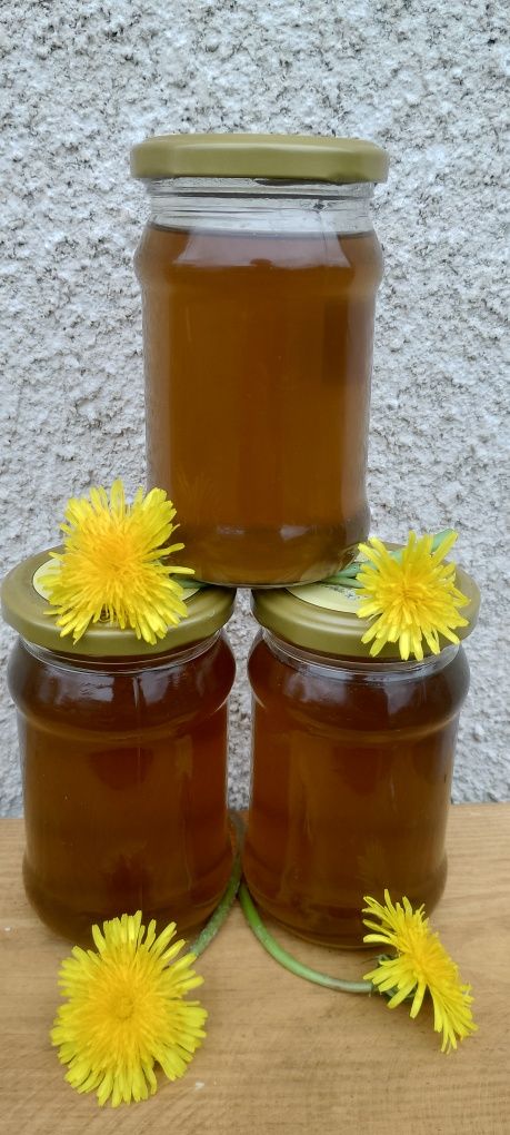 Syrop z mniszka lekarskiego