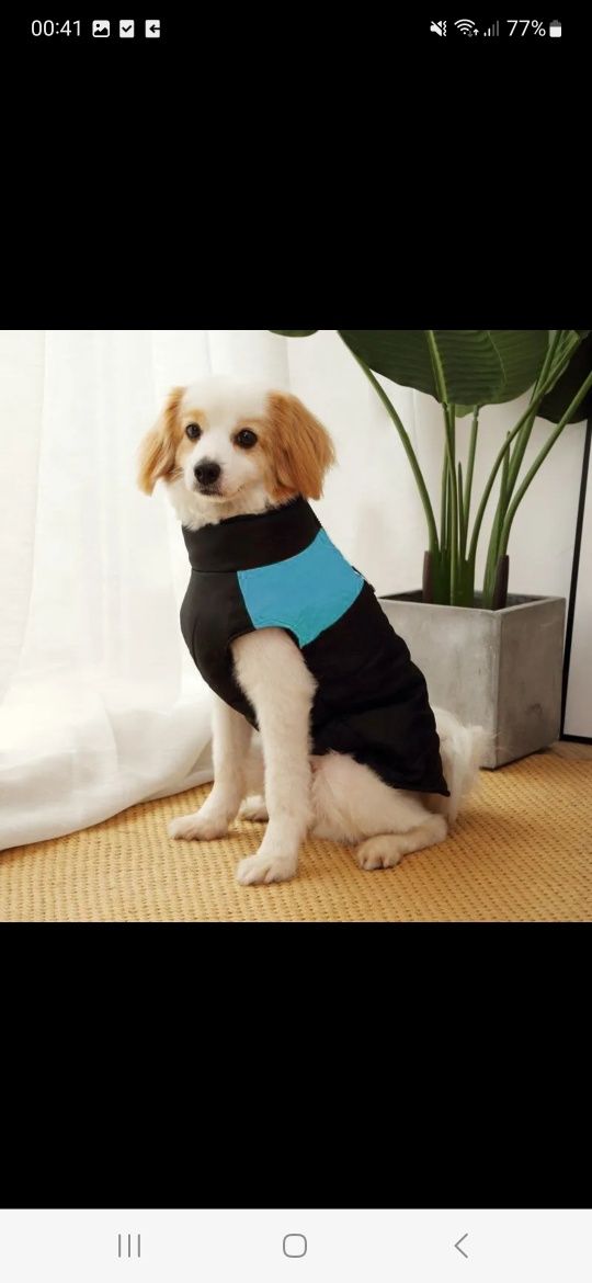 Nowa kurteczka dla psa małego wodoodporna zimowa ubranko S