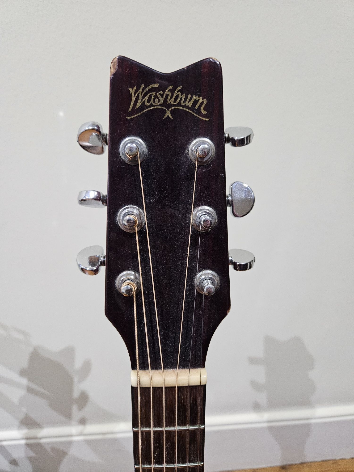 Guitarra Acustics Wasburn D-10
