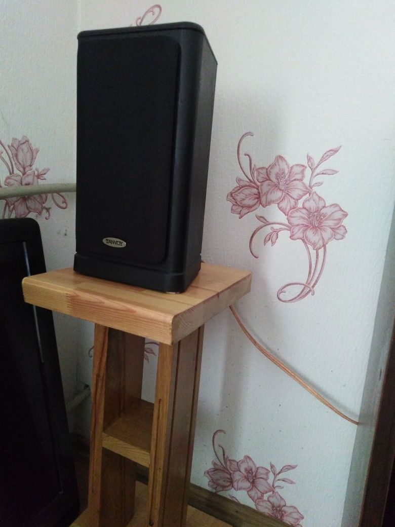 Акустика Tannoy 631 + Canton Plus C