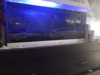 Akwarium 60x30x30 45l