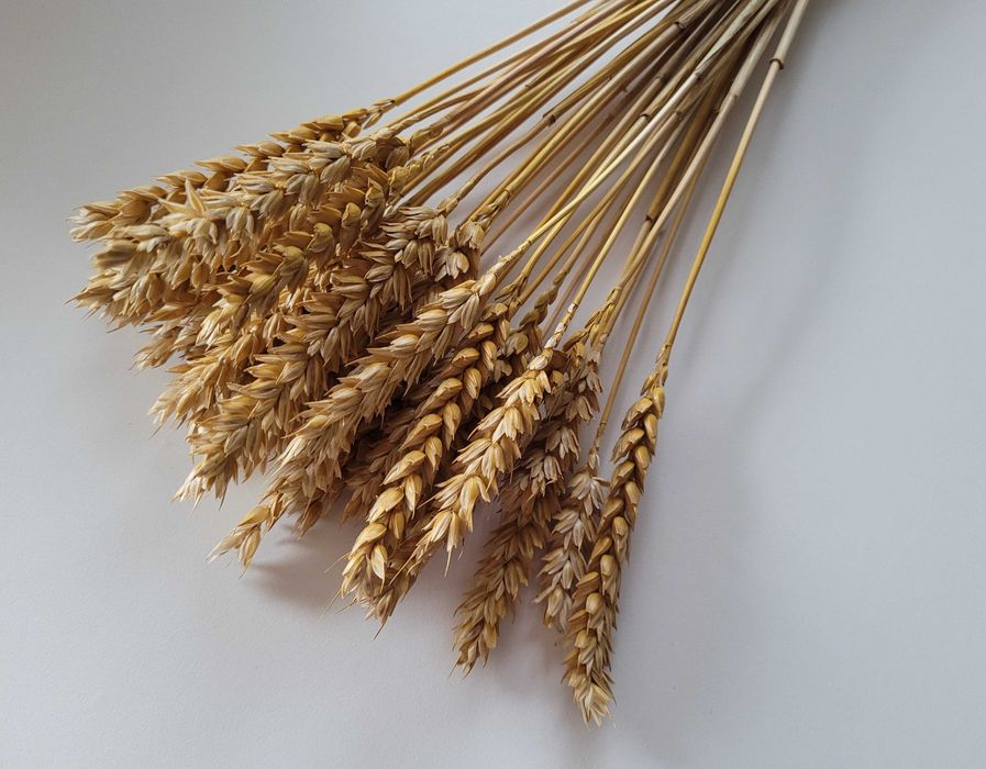 NA DOŻYNKI - suszone trawy kłosy bukieciki kwiaty suszone