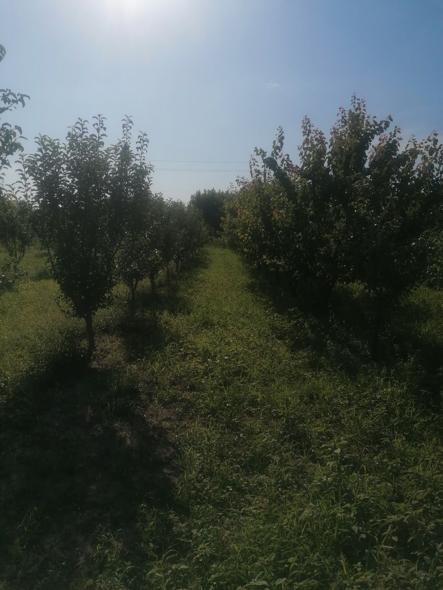 Продам земельну ділянку