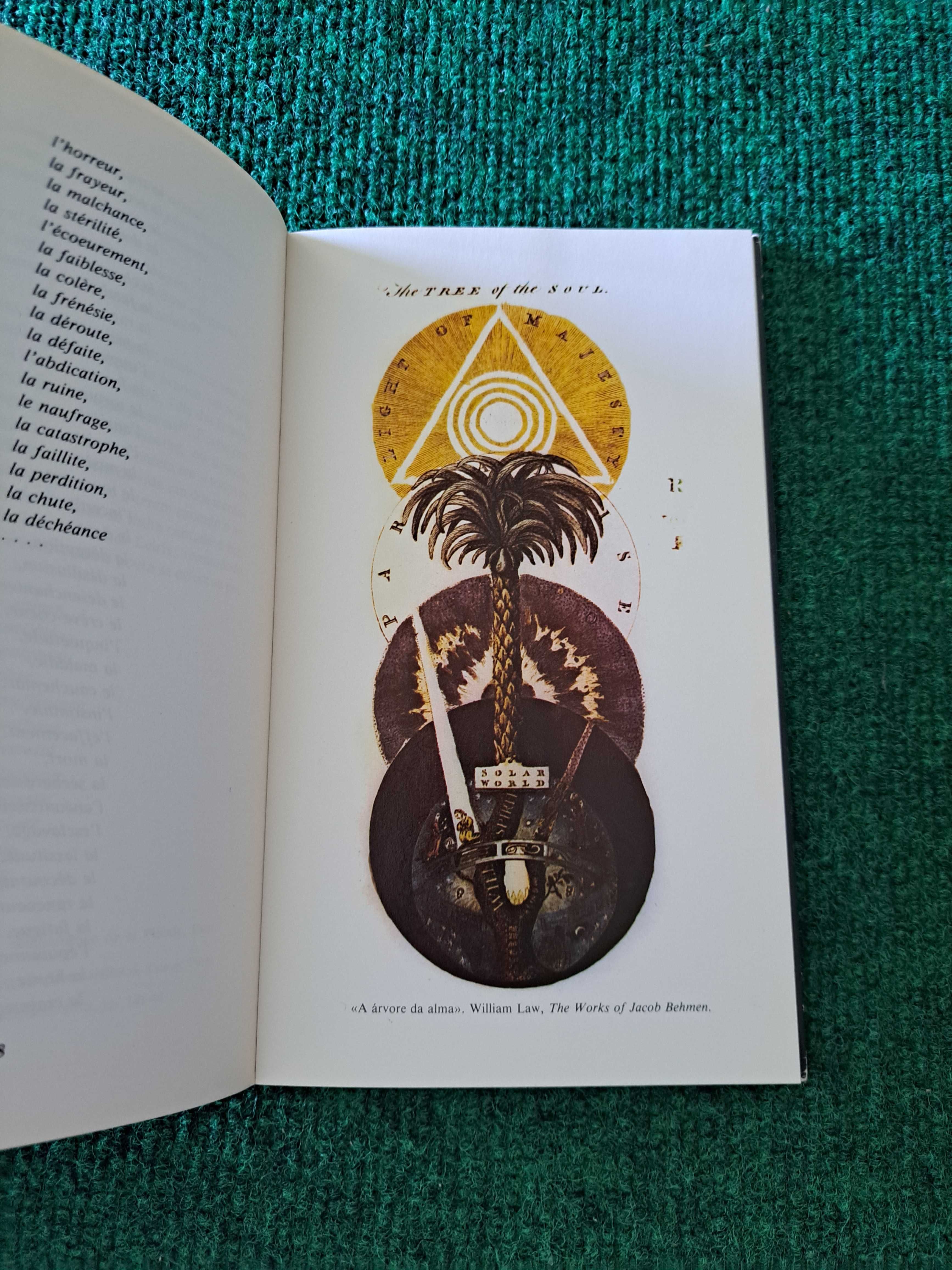 A Alquimia do Amor - Y. K. Centeno
