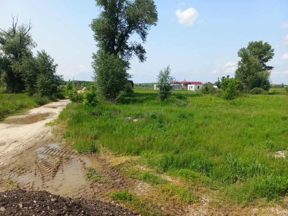 Зазим’я, ділянка 15 соток, під забудову біля Десни