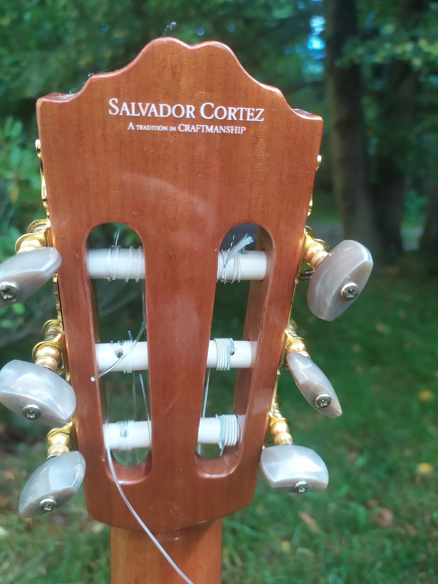 Gitara elektroklasyczna Salvador Cortez