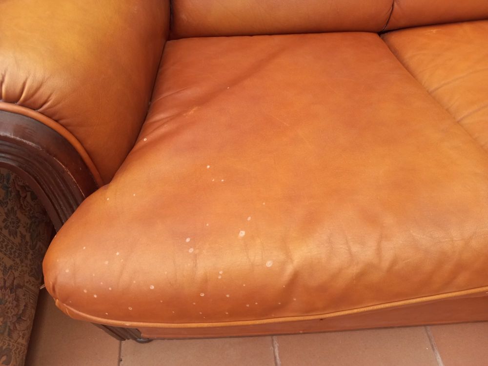 Sofa de pele com cama