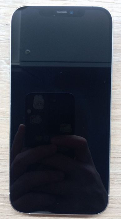 Iphone 12 Pro Max 128GB Silver NeverLock