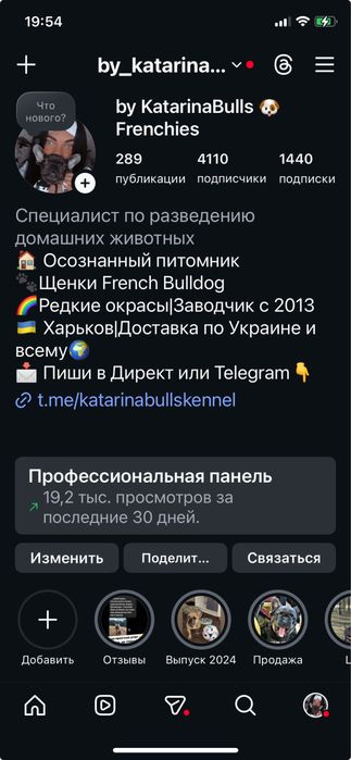 Мальчик мини флаффи