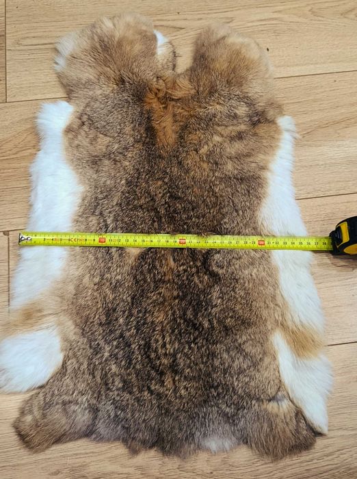 Продам шкури кролів